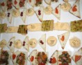 /album/finger-food/ff-tartine-jpg/